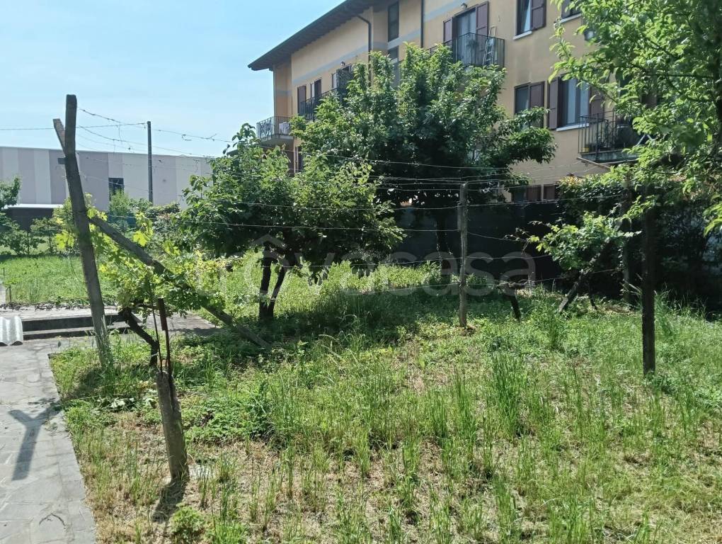 immagine annuncio 5 di 15