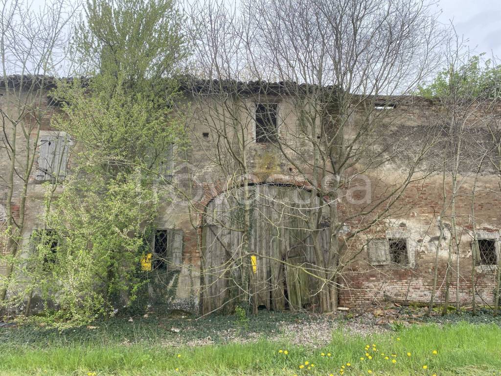 immagine annuncio 2 di 8