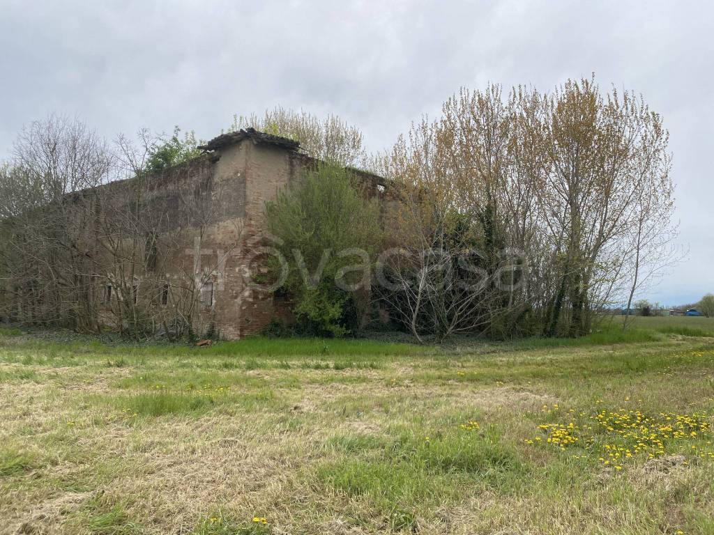 immagine annuncio 3 di 8