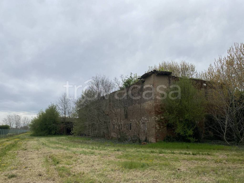 immagine annuncio 5 di 8