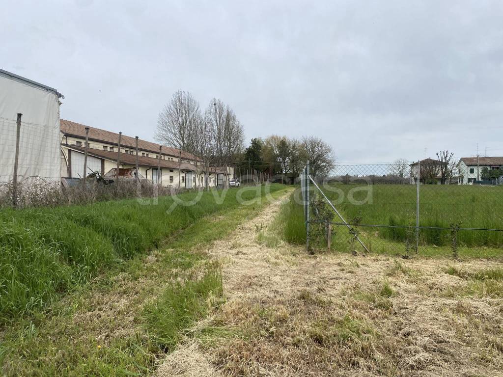 immagine annuncio 6 di 8