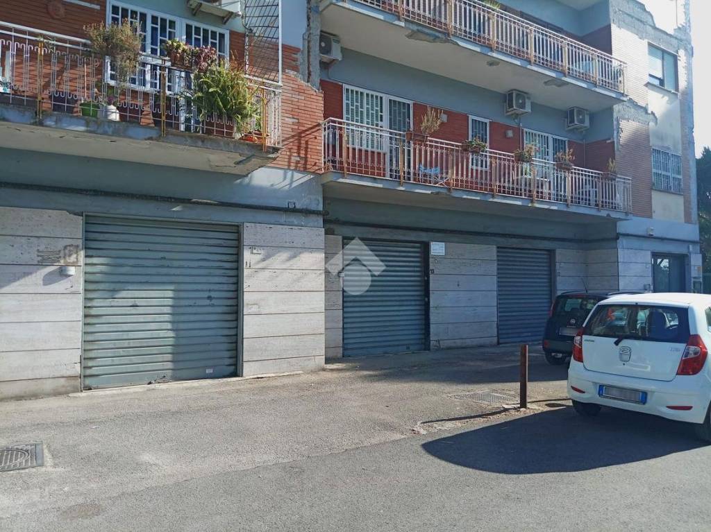 immagine annuncio 2 di 14
