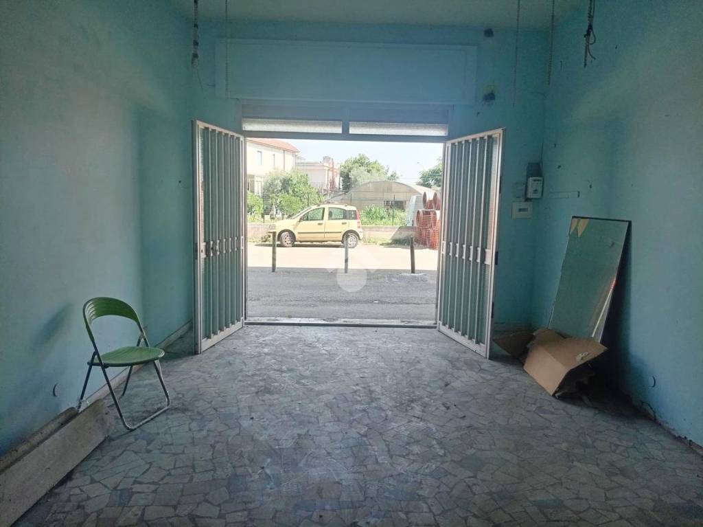 immagine annuncio 5 di 14