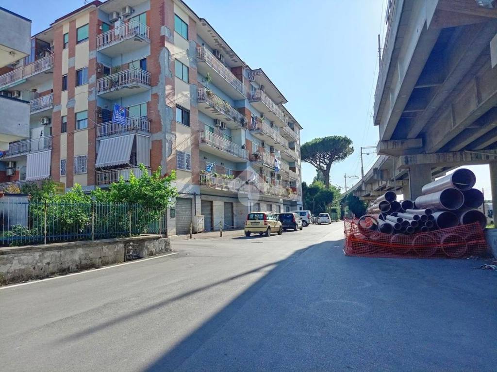immagine annuncio 6 di 14