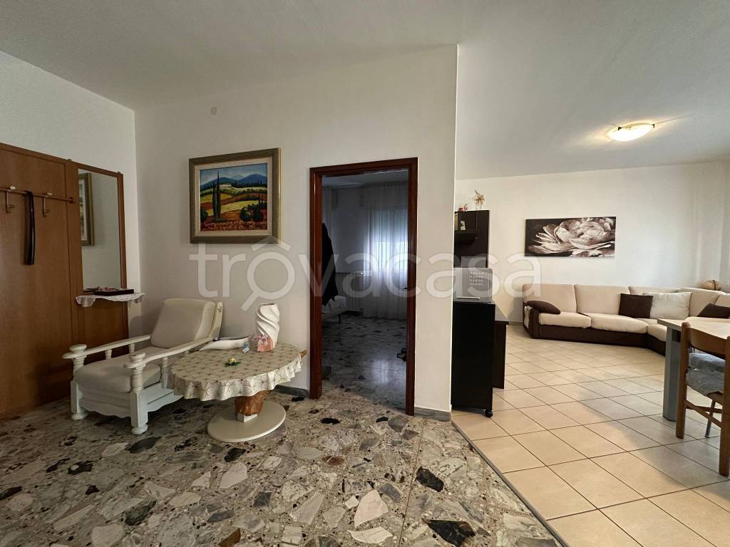 immagine annuncio 10 di 13