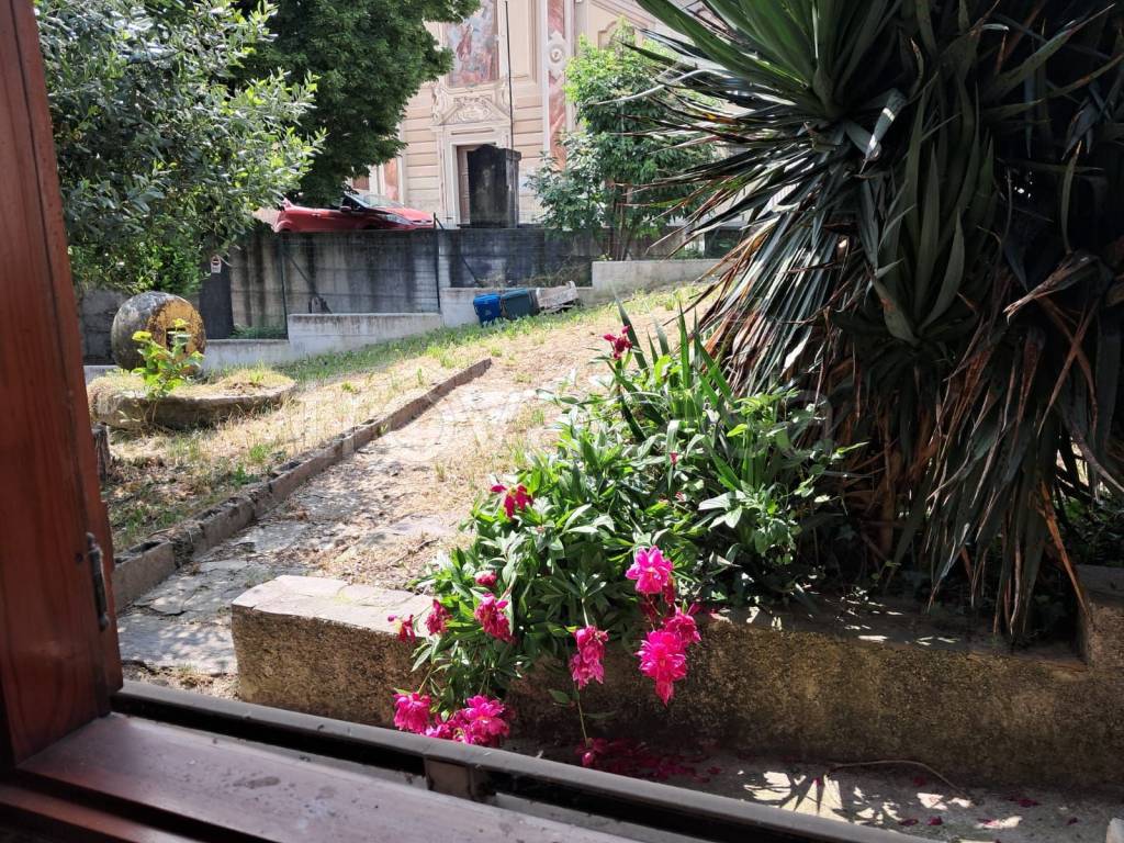 immagine annuncio 11 di 14