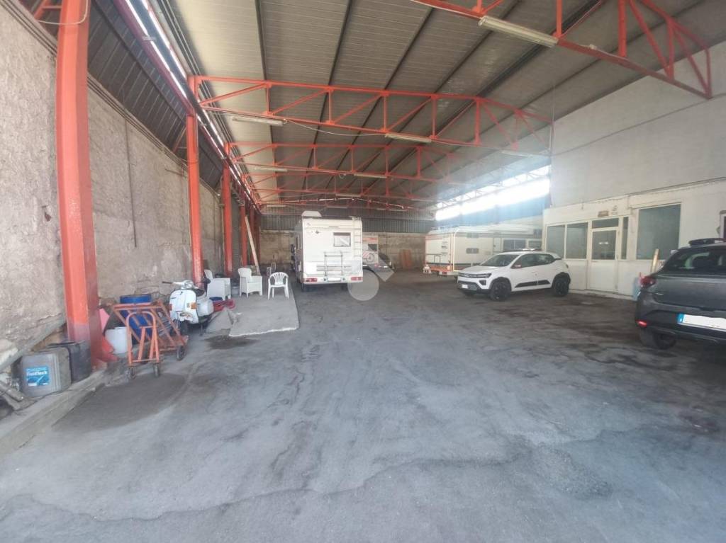 immagine annuncio 3 di 6