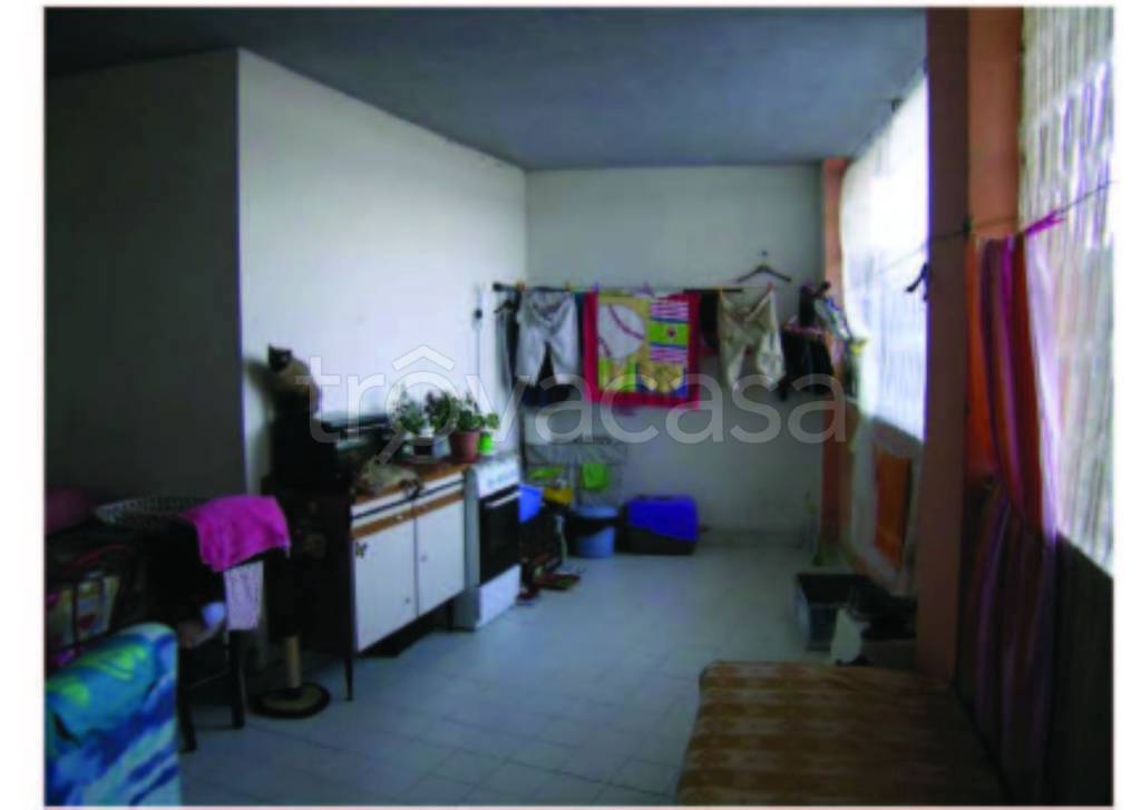 immagine annuncio 7 di 12