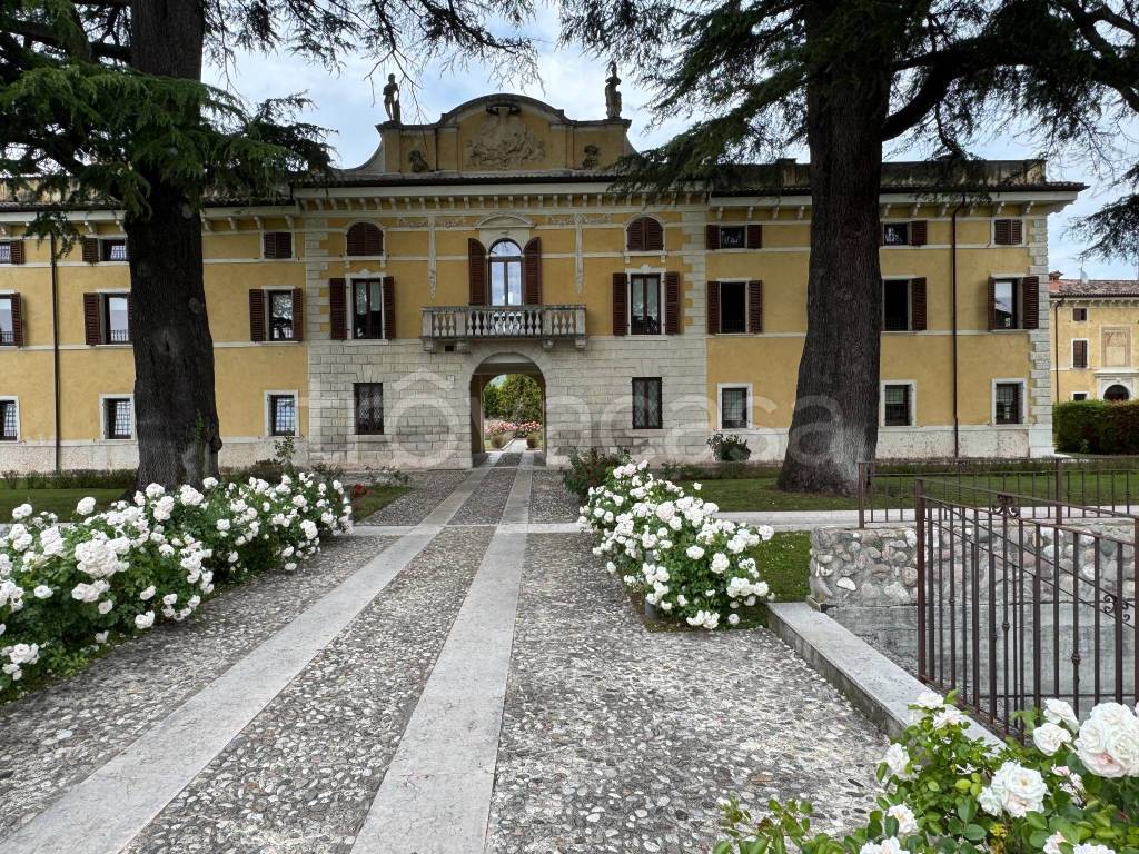 immagine annuncio 12 di 14