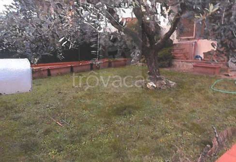 immagine annuncio 9 di 12