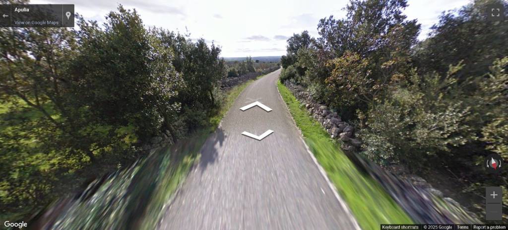 immagine annuncio 3 di 14