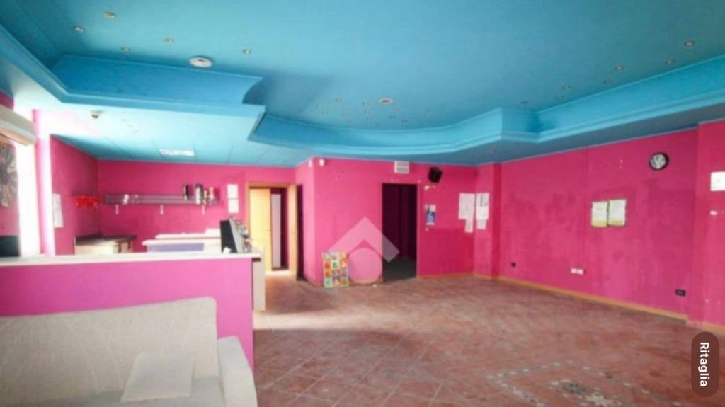 immagine annuncio 2 di 14