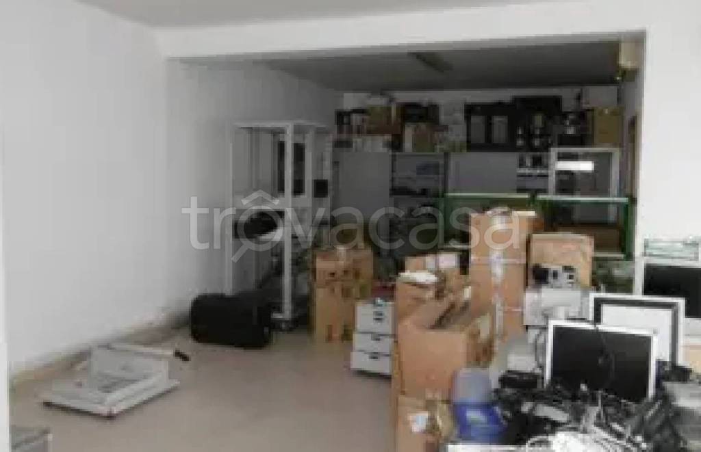 immagine annuncio 2 di 11