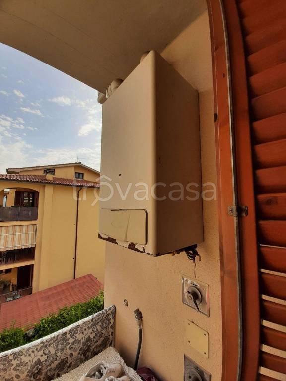 immagine annuncio 12 di 15