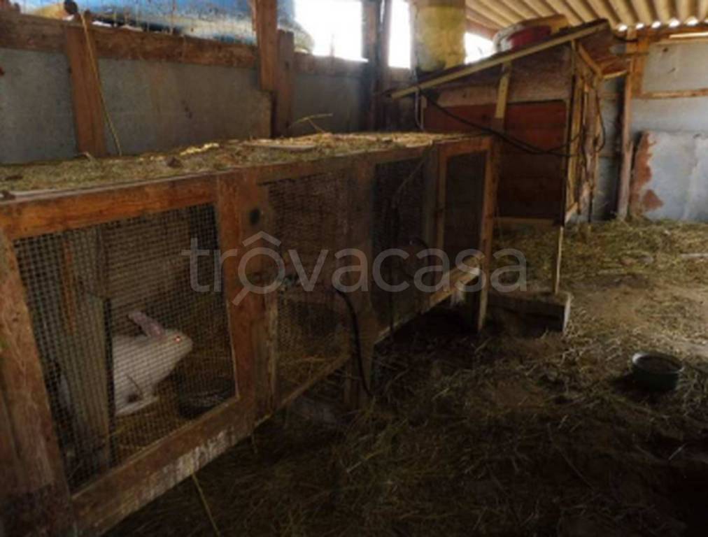 immagine annuncio 4 di 12