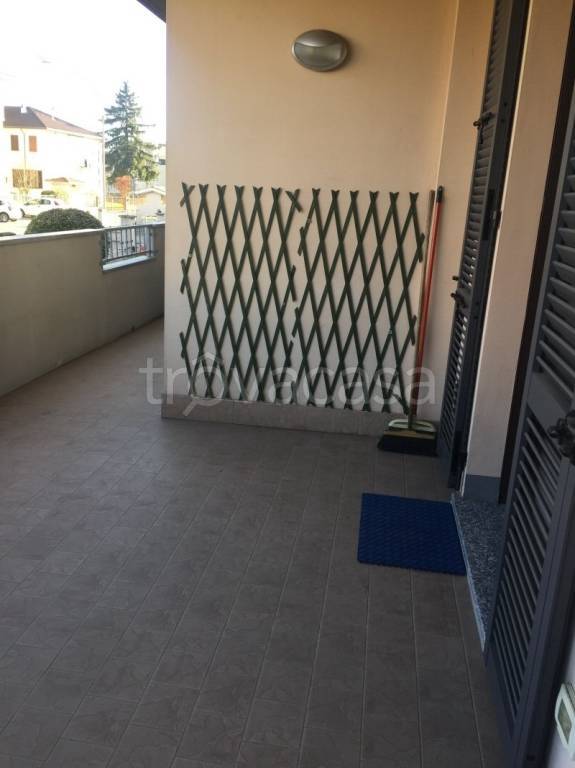 immagine annuncio 3 di 14