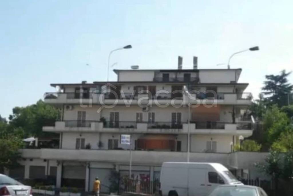 immagine annuncio 9 di 11