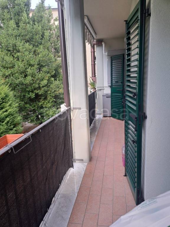 immagine annuncio 2 di 12