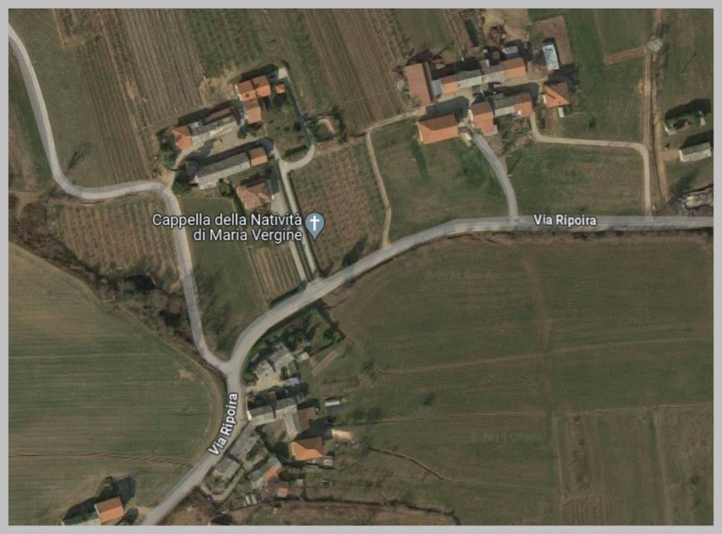 immagine annuncio 12 di 15