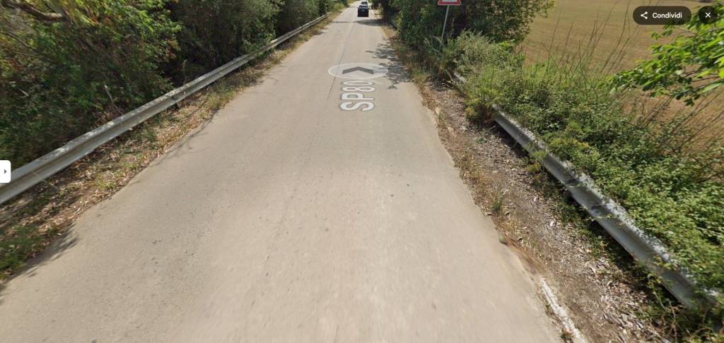 immagine annuncio 3 di 11