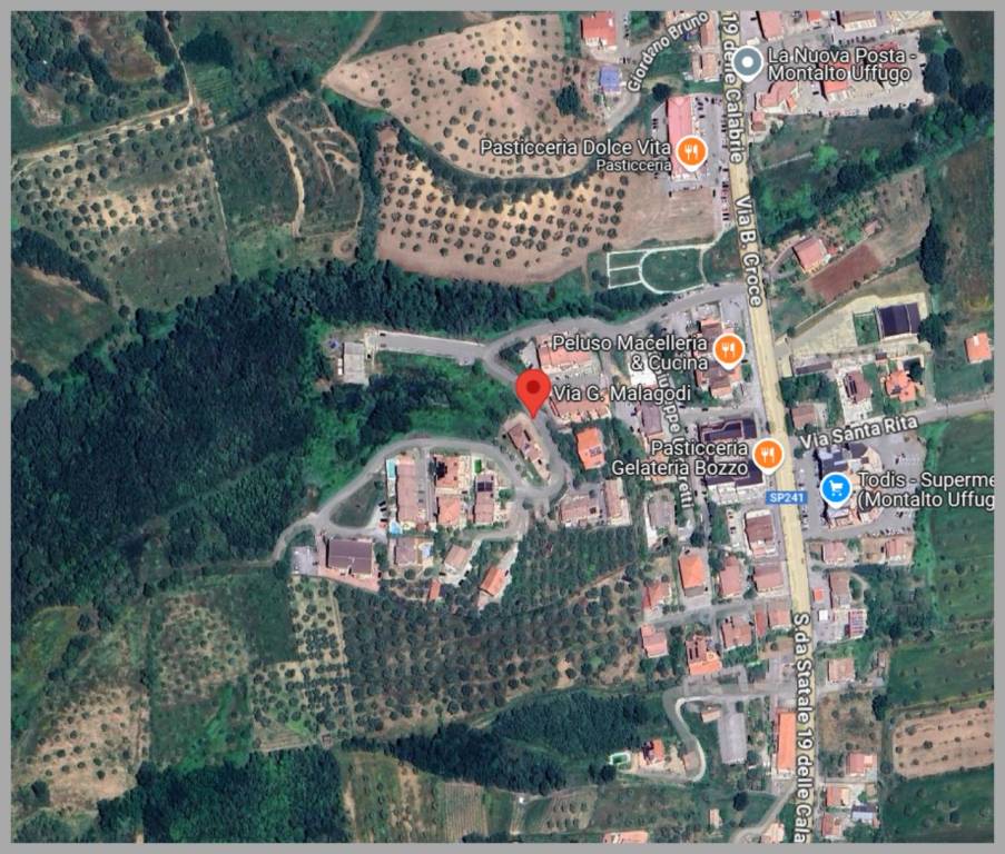 immagine annuncio 12 di 15
