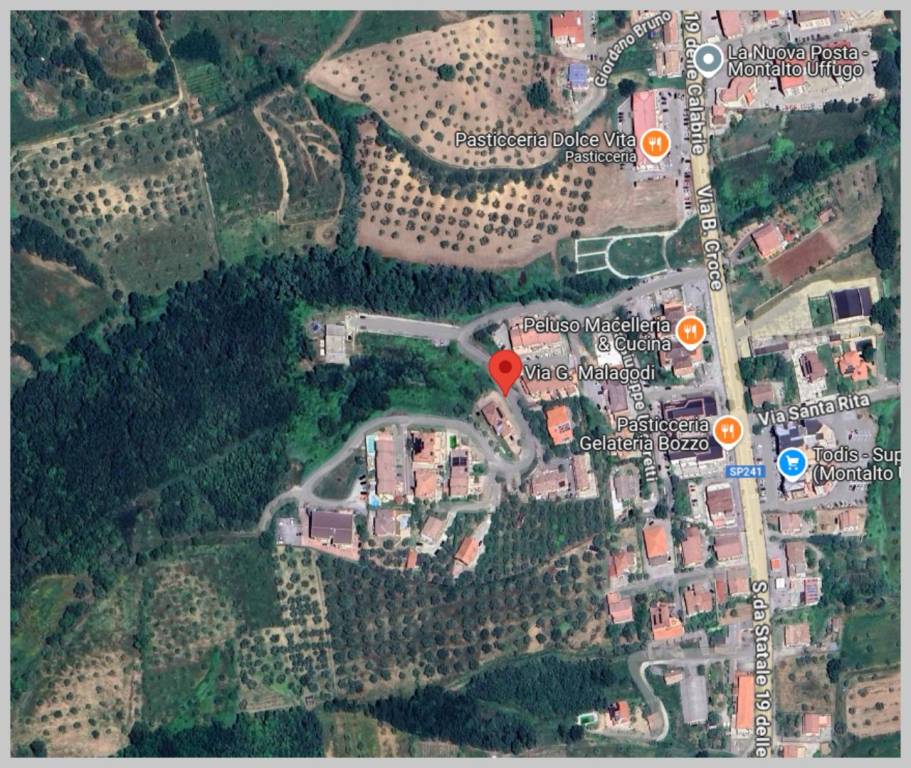 immagine annuncio 11 di 15