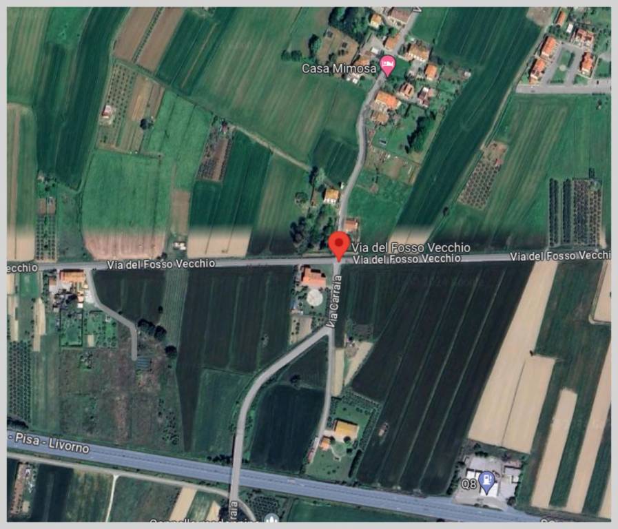 immagine annuncio 11 di 15