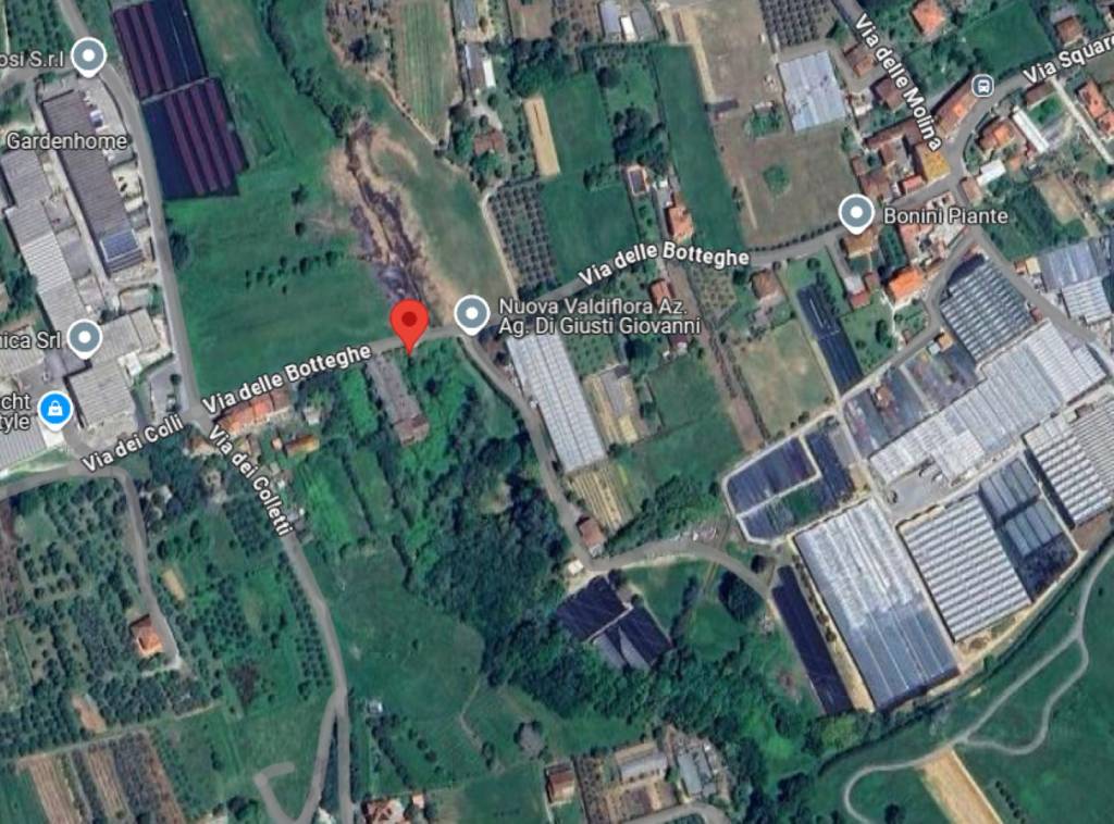 immagine annuncio 9 di 14