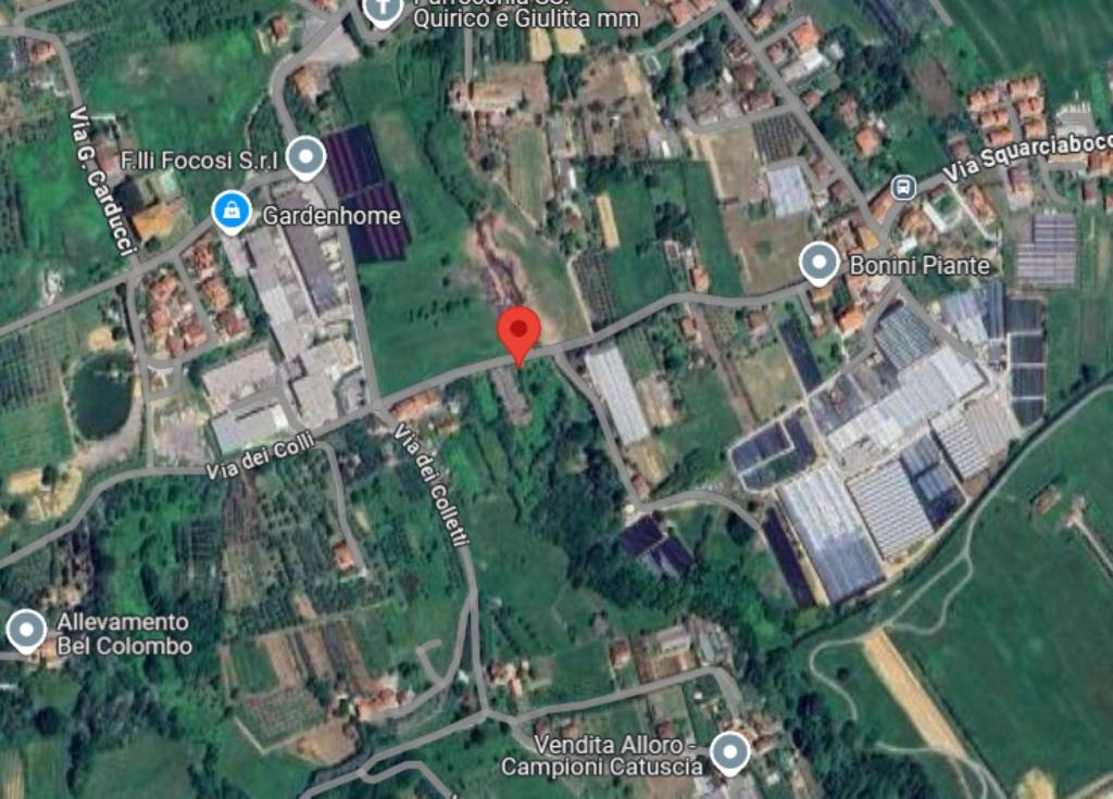 immagine annuncio 10 di 14