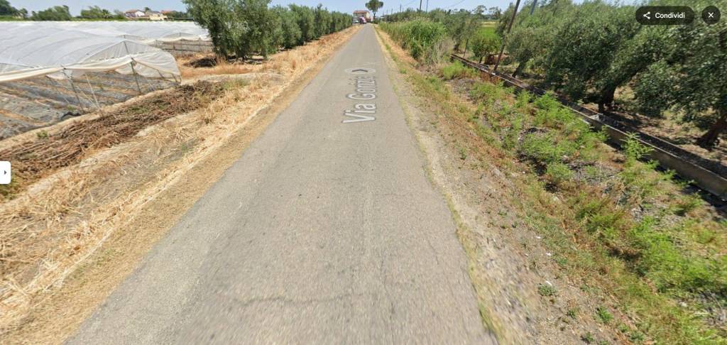 immagine annuncio 6 di 13