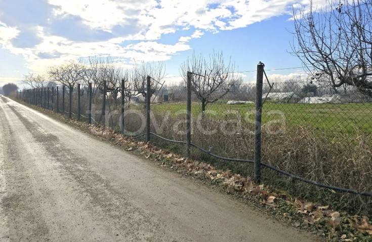 immagine annuncio 7 di 11