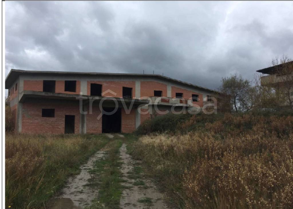 immagine annuncio 9 di 14