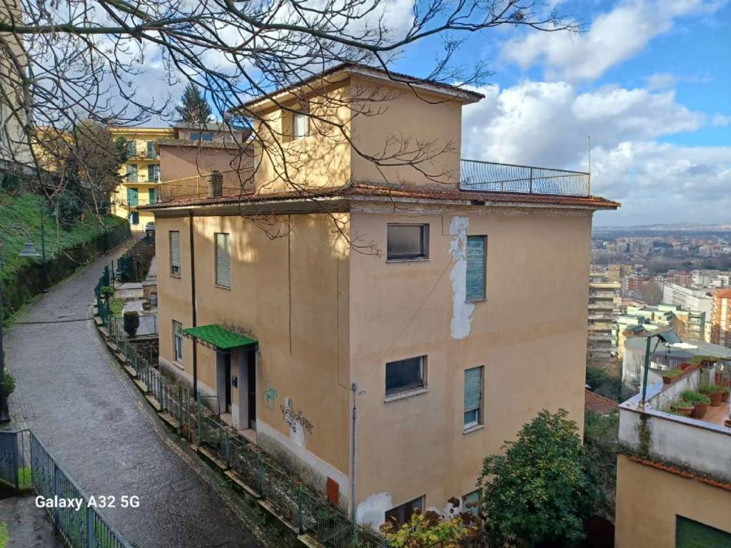 immagine annuncio 4 di 14