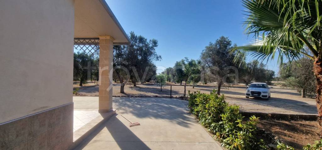 immagine annuncio 9 di 14