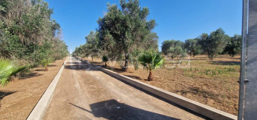 immagine annuncio 4 di 14