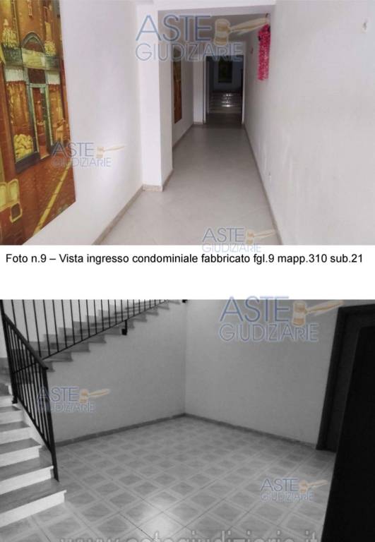immagine annuncio 7 di 12