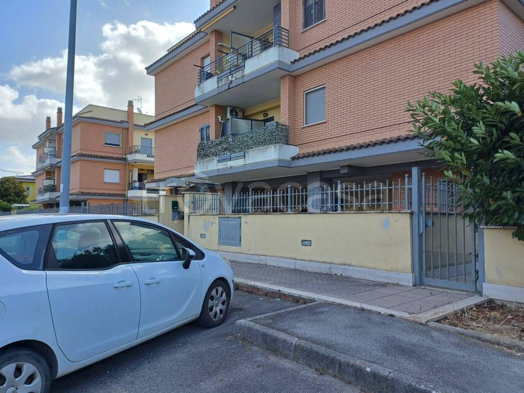immagine annuncio 3 di 14