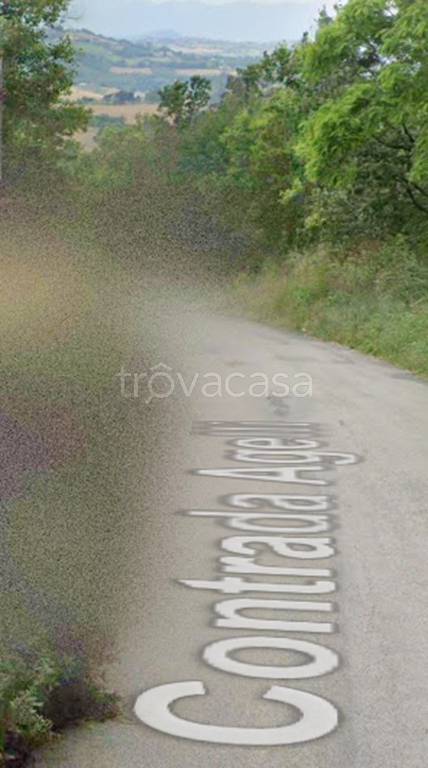 immagine annuncio 11 di 13