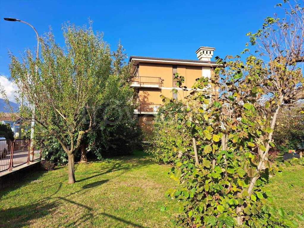 immagine annuncio 4 di 9