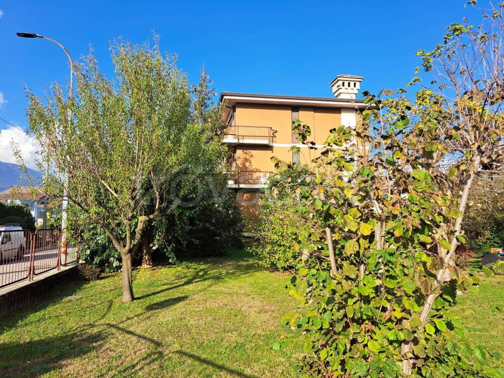 immagine annuncio 5 di 9