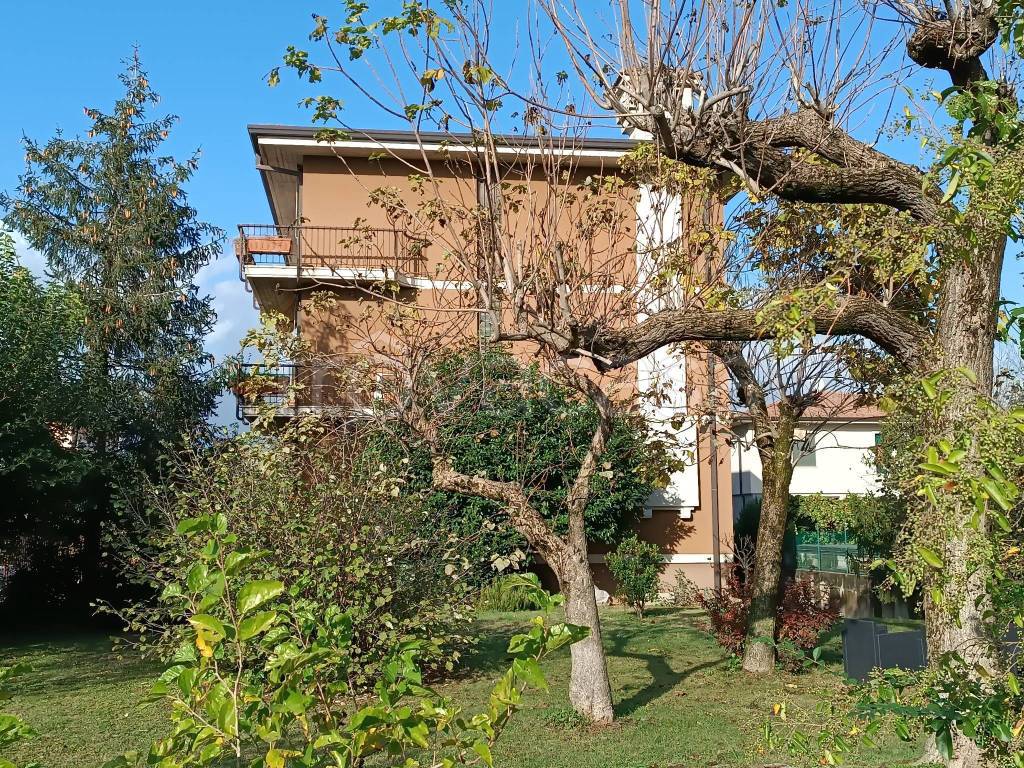 immagine annuncio 6 di 9