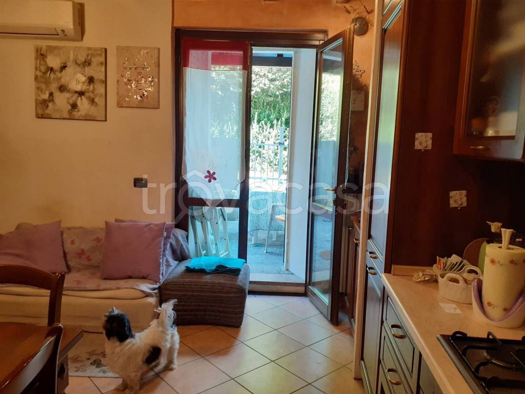 immagine annuncio 1 di 15