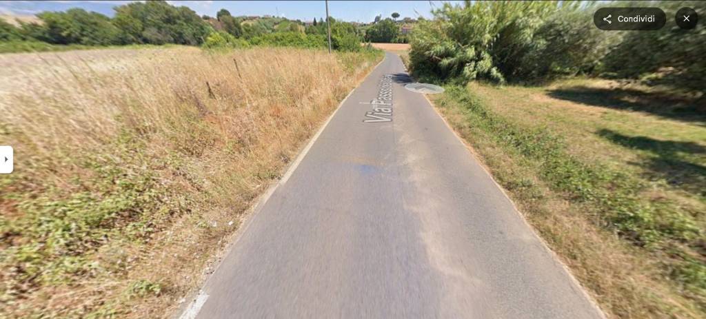 immagine annuncio 11 di 14
