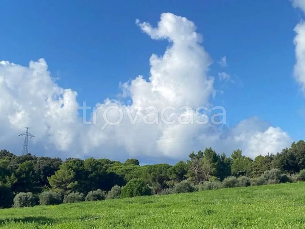 immagine annuncio 7 di 8