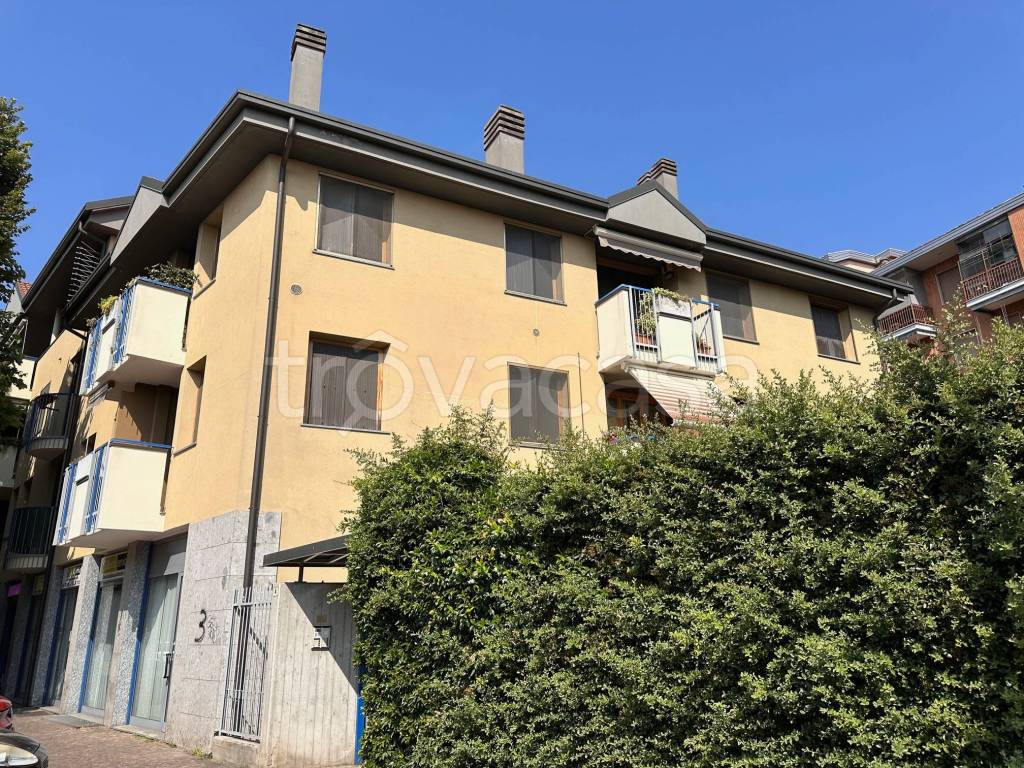 immagine annuncio 2 di 15