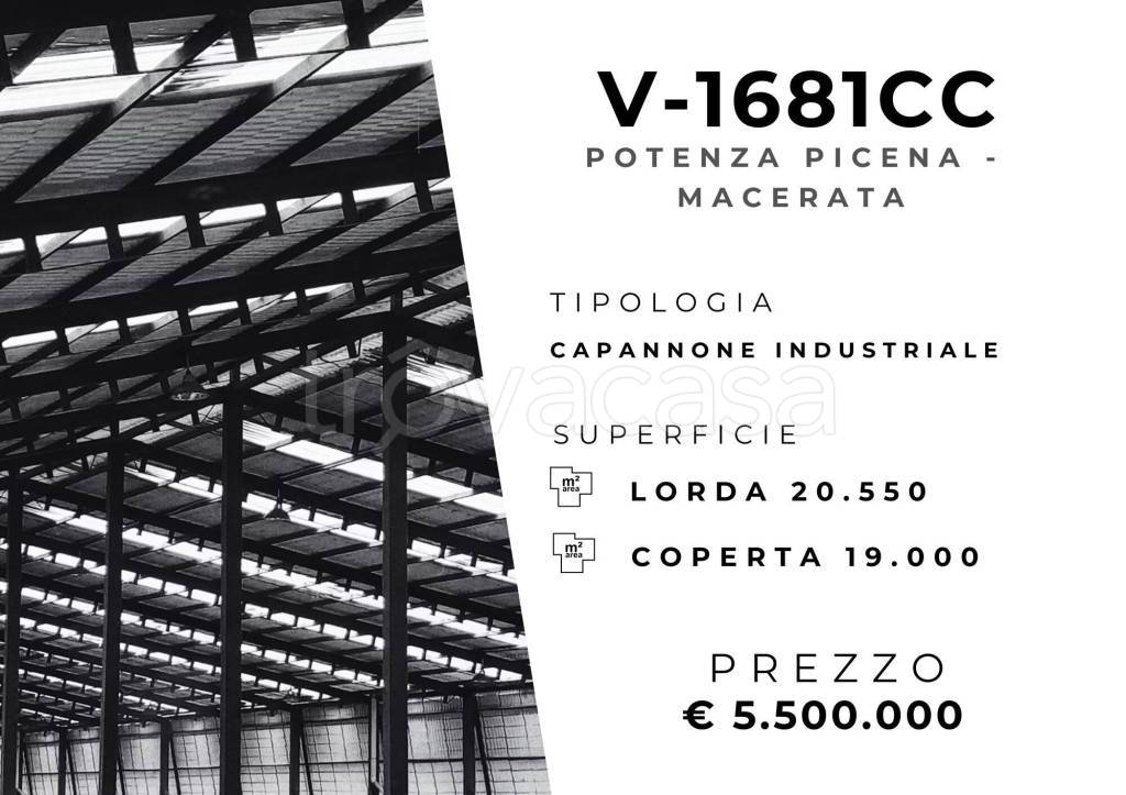 immagine annuncio 1 di 11