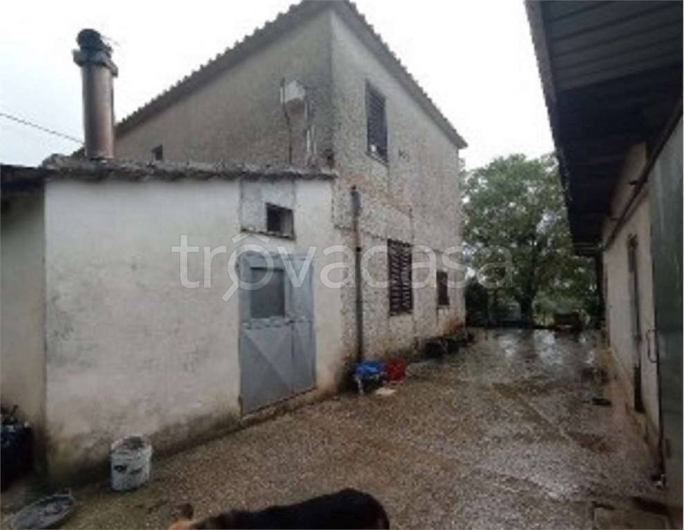 immagine annuncio 1 di 2
