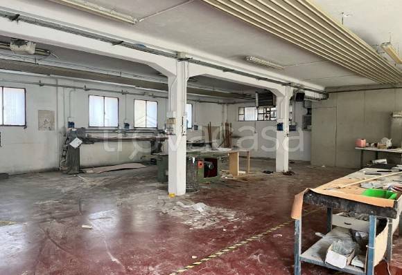 immagine annuncio 3 di 8