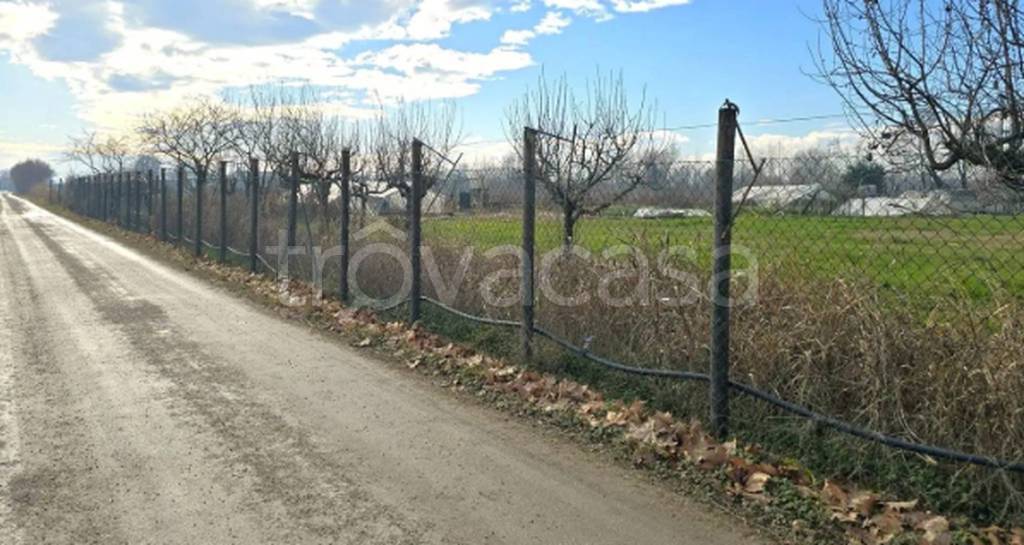 immagine annuncio 2 di 13