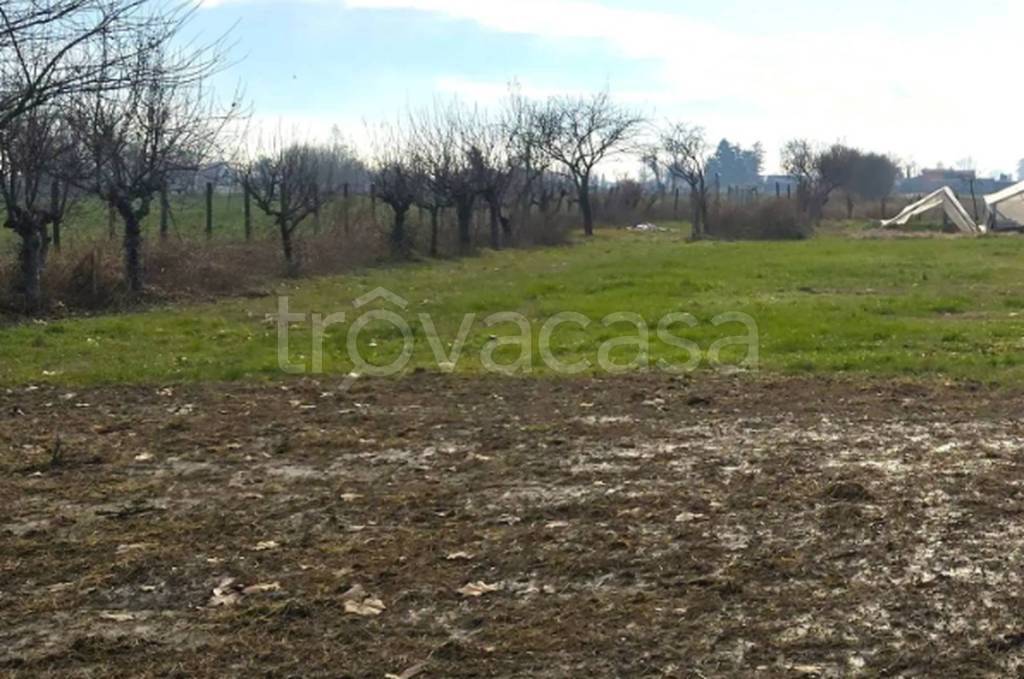 immagine annuncio 6 di 13